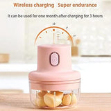 250ML USB Rechargeable Mini Electric Grinder & Food Chopper – Portable Garlic, Onion, Vegetable & Nut Chopper