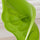 Flower Sink Guard – Silicone Kitchen Sink Drain Strainer & Hair Catcher for Bathroom & Kitchen