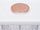 6 Portion 10KG Cereal Dispenser – Large Capacity Dry Food Storage Container with Portion Control