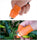Orange Silicone Thumb Cutter – Finger Knife for Vegetable Harvesting, Fruit Picking & Gardening