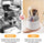 Covered Rotating Toothbrush Holder – 360° Dustproof Bathroom Organizer with Storage Compartments