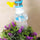 Splash Fan Faucet Nozzle | 360° Rotating Water-Saving Filter Tap Extension | 3-Mode Spray Head | Random Color | Pack of 1